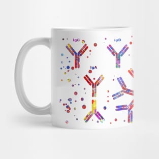 Antibody molecule Mug